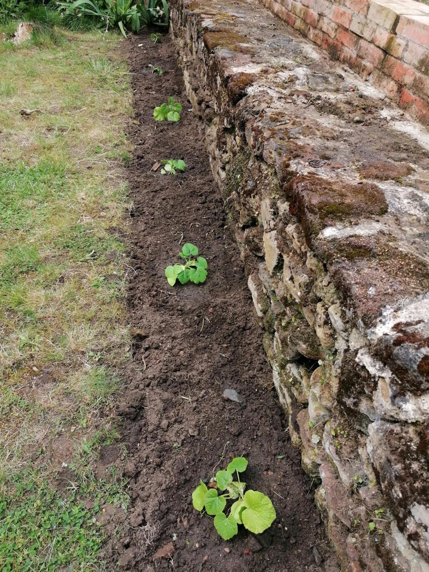 Les Jardins De Beauverger Le Mans Exterior foto
